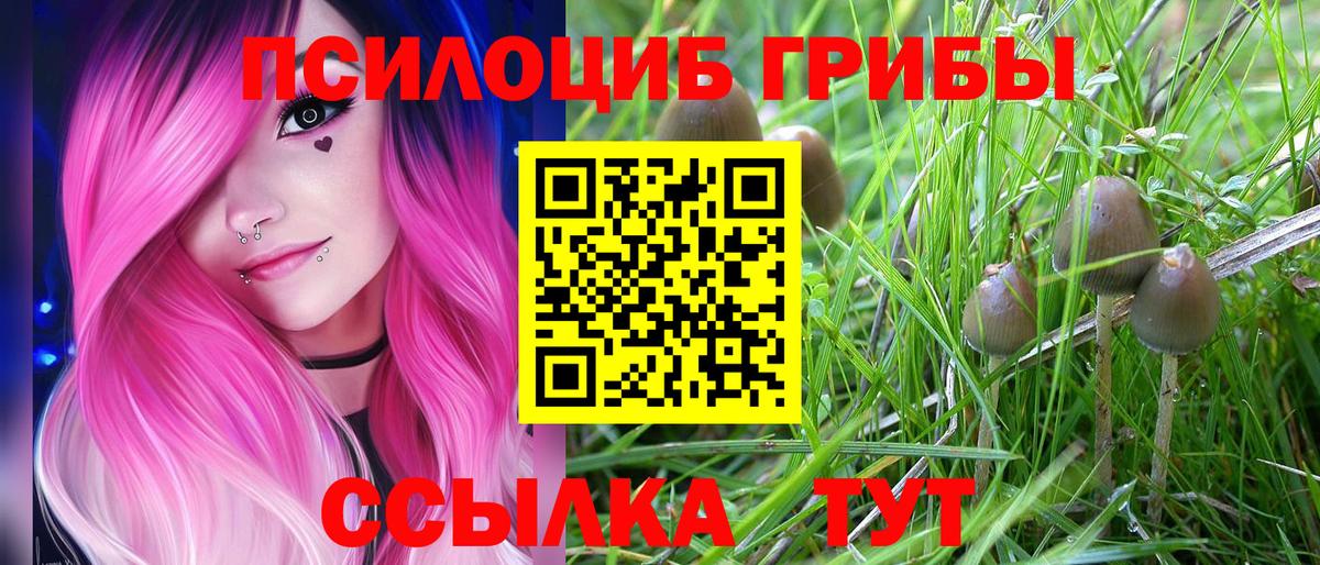 Галлюциногенные грибы Cubensis Улан-Удэ