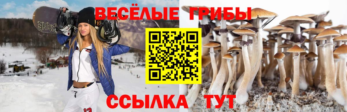 купить   Галлюциногенные грибы мицелий  Галлюциногенные грибы GOLDEN TEACHER  Вход с VPN  Улан-Удэ 